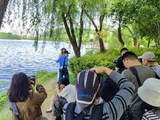西湖四月，光影旖旎（上）
