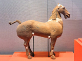 青岛博物馆看马