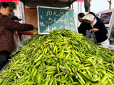 社区市场：鲜绿豆角受欢迎