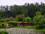 武汉植物园风景