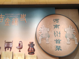 2026-04-22中午河南博物院吉金铸史展
