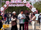 [转载]【蓝色的海星40】北小河公园春花节外一篇（上）