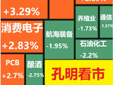 孔明午评：小幅飘红，把握个股反弹机会！
