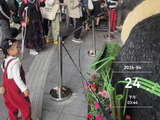 [转载]绣球花：夏的信差【4月28日多云上午】