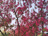学成语（二十一）