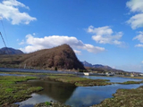 [转载]五律.团山映山红