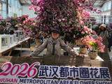 2026年武汉都市圈花展