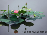 一篇两相思的奇特回文诗