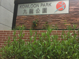 [转载]四、念念不忘城中园（续2）—香港市九龙公园《祖国江山如此多娇》