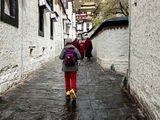 2026年第二波西藏之行（十七）重温旧梦“扎什伦布寺”