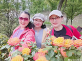 假如岁月可以倒流---阳光笙箫支剑笙博客