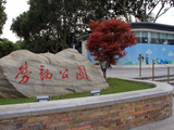 秋天的劳动公园（2）