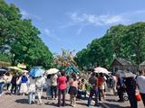 五一节沙湖公园花展人山人海