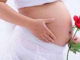 男女情爱怀孕周报（5月11—17日）