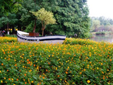 [转载]【原创】读诗人小雪九九《2025年金秋花草地》有感