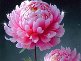 君子和小人的区别（学习笔记）谨献与亲朋好友们分享！