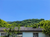 12589七绝·润泽园之满园春翠-母亲节2026(5)