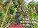 [转载]五一节，遇见花开花落