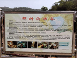 晋陕蒙宁西行漫记P8.1-雨岔桦树沟