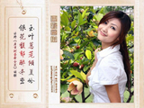 图联两副20260514