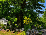 武汉东湖落雁风景区游记（一）