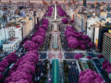 [转载]无花不风景