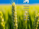 [转载]小满