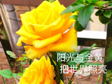 2026，记录遇见，留下画面（5）