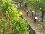 雨后【2026-1】--光影西河沿