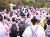 登泰山观光（5）