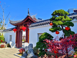行摄甬城——宁波盆景园（二）