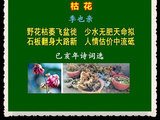 枯花
