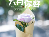 六月来信【蓝树叶诗社同题临屏】