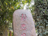 走进厦门金榜公园（十一）