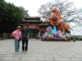 青山旅游今日归来