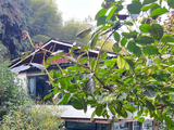 云水间（三）