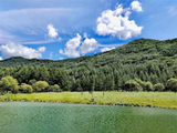 云水间（四）