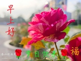 友友们.节日快乐