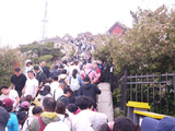 登泰山观光（14）