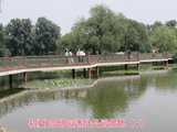 [转载]初夏圆明园遗址公园景色（4）