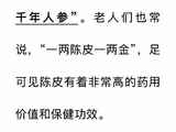 一两陈皮一两金（上）