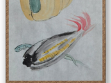 涂鸦日课
