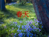 6332、七律——春信（新韵）
