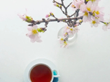 上一壶茶，插几枝花