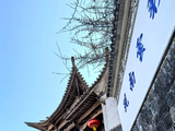 12740七绝·和顺古镇之八大宗祠-腾冲(48)-保山(49)-滇西十二日202602(265)