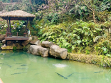 云水间（十一）