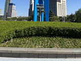 大美中国——泉城济南