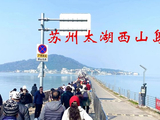 西山岛夏日限定，睡莲初绽