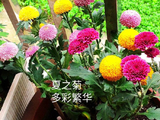 2026，记录遇见，留下画面（7）
