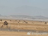 七律__又西行周返